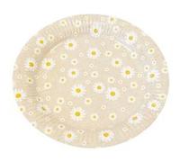 6 assiettes carton marguerite 23cm nature - générique jet116 Gris G