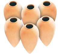 Royal Gardineer 6 doseurs d’eau pour plantes en pot