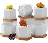6 mini-pots de fleurs blancs, hexagonaux, pour cactus, plateau en bambou
