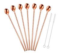 6 Pailles Cuillères Inox 21,7cm avec 2 Brosses | 2 en 1 pour cocktails, granités, café, smoothies, milkshake, latte, thé glacé, bar et fêtes