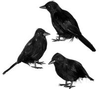 6 pcs. Halloween Corbeau Set de décoration, accessoires de corbeau pour la fête & la décoration - Noir
