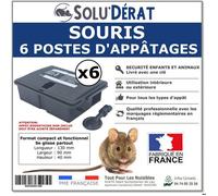 6 Postes d'appâtage pour Souris Sécurisé pour Enfants et Animaux - Lot de 6 unités-Boite vendu vide sans appât