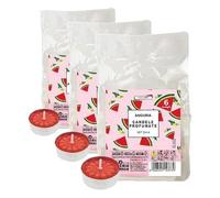 6 Tealight parfumée Pocket Season - Printemps/Été - Pastèque - Cereria Di Giorgio (Lot de 3)