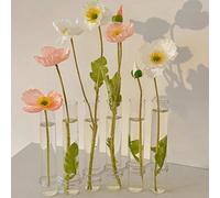 6 tubes/8 tubes Ensemble de vases pliables créatifs avec design à charnière incluant un crochet et une brosse, terrarium de plante en tube à essai en verre DIY, pots de fleurs, terrarium de plante de