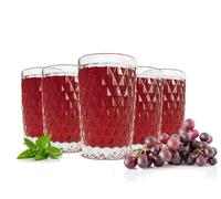 6 Verres à Boire 300 ml Relief Sendez Transparent en Verre