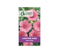 60 Graines de Lavatère Rose - Lavatera Trimestris - Fleurs Annuelles Grand Format