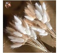 60 pièces mélange queue de lapin herbe naturel Lagurus Ovatus Pampas fleurs séchées Bouquet Floral décoration de mariage maison Photo accessoires décor Pink
