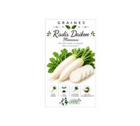 600 Graines de Radis Daikon Minowase - Racine blanche géante pour Potager. Récolte rapide. Culture facile