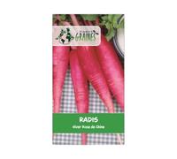 600 graines de radis D'hiver rose de chine -variété robuste