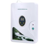 600 mg/h Purificateur d'air Générateur d'ozone Appareil de désinfection Ozoneur pour fruits Légumes