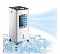 60W Climatiseur Mobile Rafraîchisseur d’Air, Réservoir 6L, 40dB Silencieux,3 Vitesses, fourni avec cristaux de glace