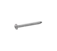 624074,2X19 Vis autotaraudeuse inox Torx 4,2x19 mm boîte 200