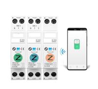 63A 1P+N Smart Switch Meter Kwh Metering Monitoring Circuit Breaker Timer Relay MCB BIANMTSW(TOB9Z-M Metering,50A)