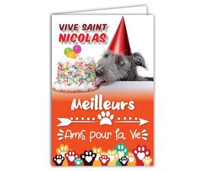68-1317 Carte Vive Saint Nicolas Bonne Fête 6 décembre pour Enfant Sage Garçon Fille Meilleurs Amis pour la Vie Chien Gâteau Pattes Animaux Copains Récré - Avec Enveloppe Blanche Format 12x17,5cm