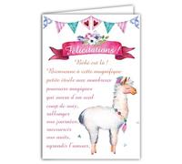 69-3929 Carte Félicitations Naissance Fille Bienvenue à Bébé Grand Texte Rose Fleuri Fête Fanions Lama - Carte qui s'ouvre avec Enveloppe Format 12x17,5cm