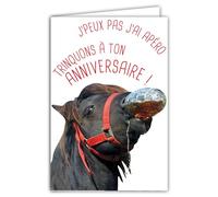 69-6210 Carte Bon Anniversaire Humoristique avec Enveloppe Illustrée format 17,5x12cm Cheval Poney Drôle Amusant Rigolo qui trinque boit un verre à l'Apéro Santé! - Création Fabrication française