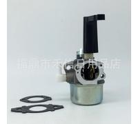 696065 697422 110412 110402 Carburateur de moteur à carburateur~0311