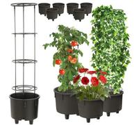 Support de cadre 6 pcs Ø 28,5 fleurs légumes fruits vigne