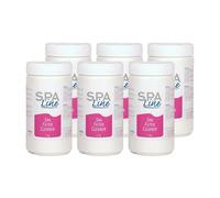 6x Nettoyant en poudre (1000gr) SpaLine Spa Filter Cleaner SPA-FI002