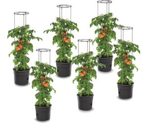 6x Plante de tomate en plastique Set 6 pots de plantation 28 L, cultivateur de tomates, pot de tomates, cache-pot, légumes, tomates Laver