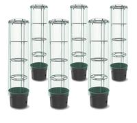 6x Plante de tomates avec couvercle et film plastique Plante de tomates avec couvercle et film plastique Plante de tomates avec couvercle et film plastique Plante de tomates avec couvercle et film pla