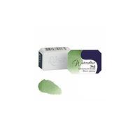 7 Artists Aquarelle Granulation Oxyde de Chrome - 1/1 Godet Unité Aquarelle Professionnelle Extra Fine | Aquarelles en Godets Adulte | Watercolor Peinture