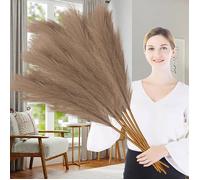 7 Pcs Pampa Artificielle Grandes Herbes De La 100cm Pampa Fleur Sechees Pampas Sechees Decoration pour Bo FLEUR-PLANTE ARTIFICIELLE