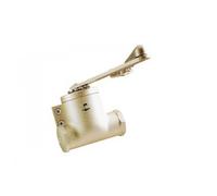704112 Ferme-porte Classique 4, bras compas - Coloris:champagne