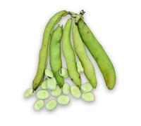 75 Grammes À Semer - Le Grenier D'abondance - Feve D'aguadulce - Vicia Faba