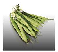 75 Grammes De Graines À Semer - Le Grenier D'abondance - Haricot Nain Lingot - Phaseolus Vulgaris