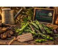 75 grammes de graines à semer - Le Grenier d'Abondance - POIS Gourmands Carouby de Maussane - Pisum sativum