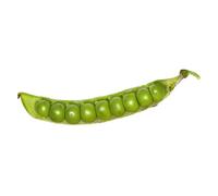 75 Grammes De Graines À Semer - Le Grenier D'abondance - Pois Nain Petit Provençal - Pisum Sativum