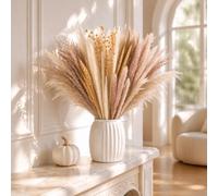 75 Pièce Bouquet de Fleurs Séchées, Pampa Séchées Naturelles Décoration | Tiges de Pampas Plumes Plantes, Naturelle Décoration Boho pour Maison, Table, Mariage, Fête, Décoration DIY, Vase