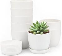 8 boules en plastique blanc épais de 10 cm, petits pots ronds avec des feuilles décoratives pour plantes grasses, petites boules décoratives