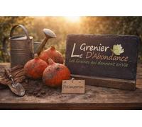 8 graines à semer - Le Grenier d'Abondance - COURGE POTIMARRON - ou courge chataigne - Curcurbita Maxima