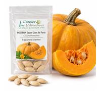 8 graines à semer - Le Grenier d'Abondance - POTIRON Jaune Gros de Paris - Cucurbita maxima