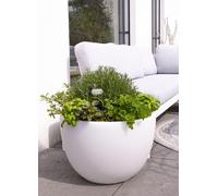 8 Seasons Shining Pot Curvy XM 32056W