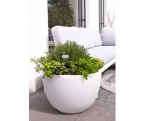 8 Seasons Shining Pot Curvy XM 32056W