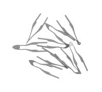 9 Pièces Pointes de Pyrogravure en Métal pour Cuir, Lignes Fines et | Filetage Compatible, Structure Compacte, Soudure au Nickel, Atelier et Gourd Art, Couleur Assortie