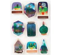 9 stickers 3D Succulentes en bocal Multicolore G