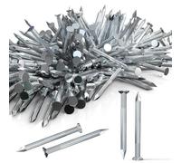 93 Pièces de Clous Pointe 50mm Acier Clous en Béton pour Tableaux Petits Clous Muraux pour Murs Clous Cadres Clous Bois Clous pour Briques Accrocher Clous en Bois Galvanisés
