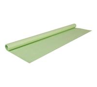 Clairefontaine Rouleau papier cadeau 95721C – Kraft recyclé 65 g – 3 x 0,70 m – Vert bourgeon