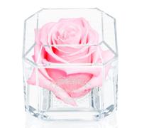A 100% Real Rose That Lasts A Year - The Perfect Unique Gift for Women and Men, an Anniversary Gift, A Birthday Gift - White Gold Solo (Light Pink)