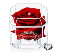 A 100% Real Rose That Lasts Years - Eternal Petals, Handmade in UK - White Gold Solo with A Multicolor Swarovski Crystal (Deep Red)