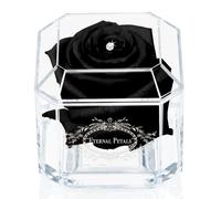 A 100% Real Rose That Lasts Years - Eternal Petals, Handmade in UK - White Gold Solo with A Multicolor Swarovski Crystal (Black)