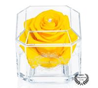 A 100% Real Rose That Lasts Years - Eternal Petals, Handmade in UK - White Gold Solo with A Multicolor Swarovski Crystal (Yellow)