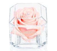 A 100% Real Rose That Lasts Years - Eternal Petals, Handmade in UK - White Gold Solo with A Multicolor Swarovski Crystal (Blush)
