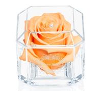 A 100% Real Rose That Lasts Years - Eternal Petals, Handmade in UK - White Gold Solo with A Multicolor Swarovski Crystal (Peach)