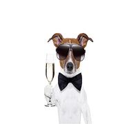 A.Monamour Sticker Porte Autocollant Poster De Porte 3D Chien De Fête Grillant Avec Une Coupe De Champagne Animal Drôle Vinyle Affiche De Porte Sticker Mural Papier Peint Art Décor 77 x 200 cm
