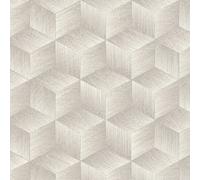 A.S. Creation 385061 Papier peint intissé Effet 3D 10.05 x 0.53 m Gris